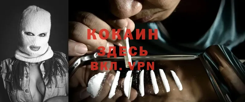 Cocaine Fish Scale Луза