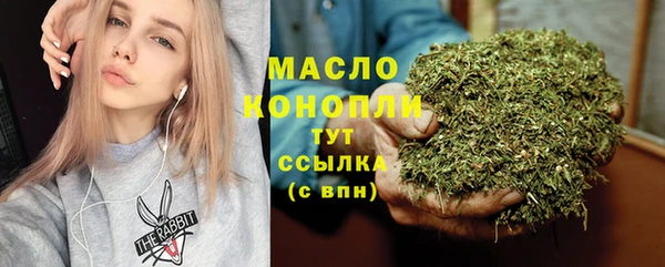 mix Богородицк